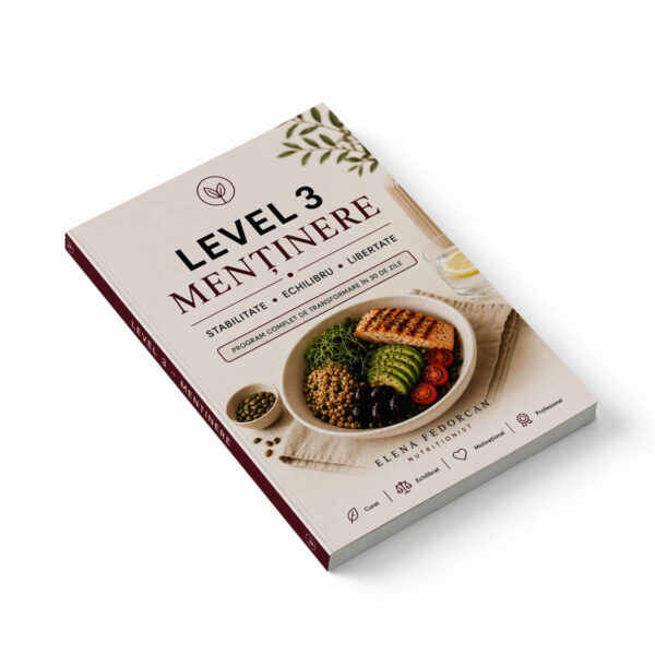 LEVEL 3 MENȚINERE